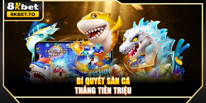 Bí quyết săn cá thắng tiền triệu