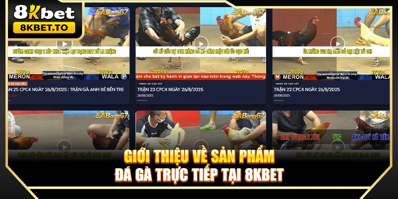 Giới thiệu về sản phẩm đá gà trực tiếp tại 8KBET