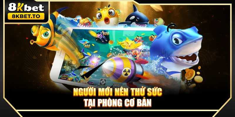 Người mới nên thử sức tại phòng cơ bản